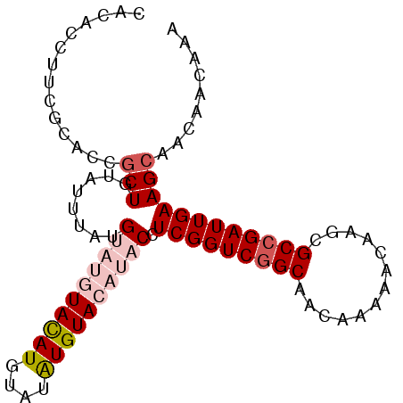 secondary structure