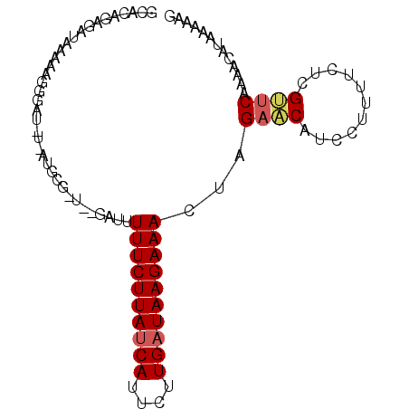 secondary structure