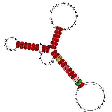 secondary structure