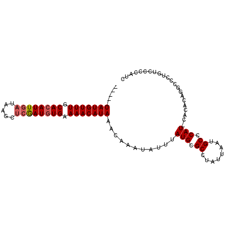 secondary structure