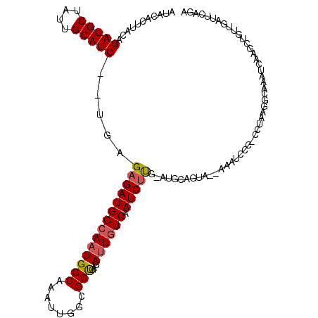 secondary structure