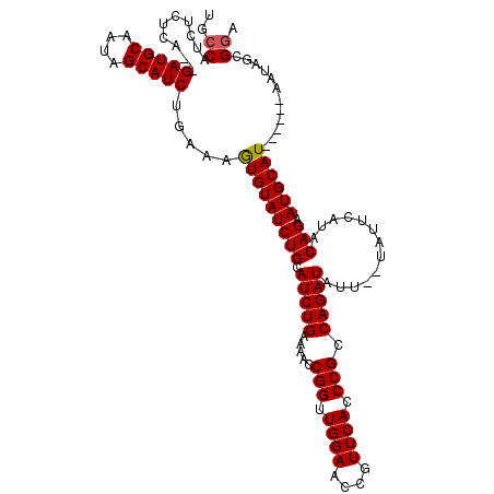secondary structure