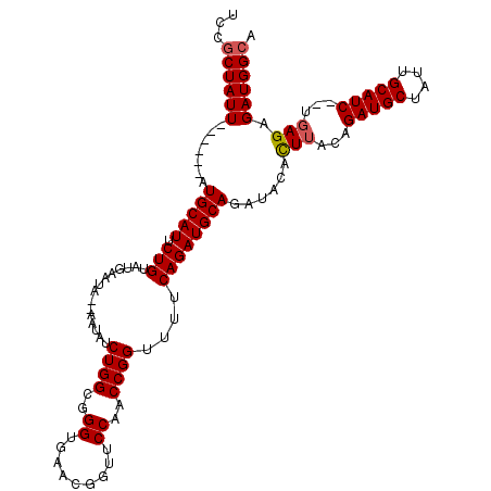 secondary structure