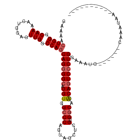 secondary structure