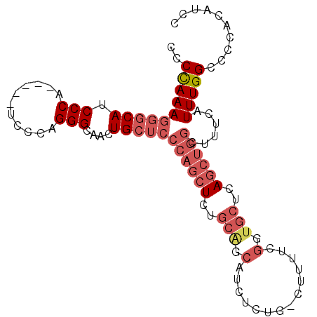 secondary structure