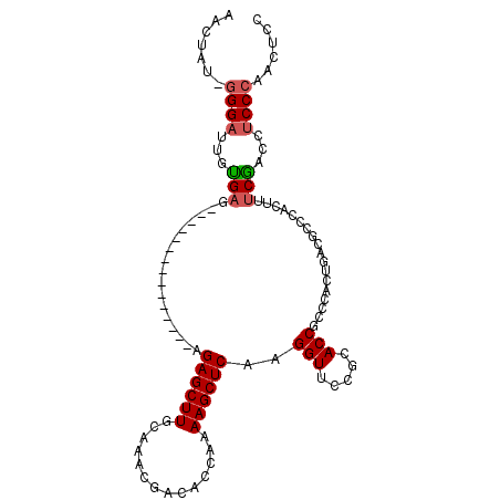 secondary structure