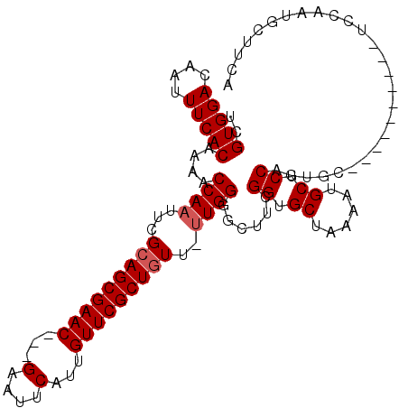 secondary structure