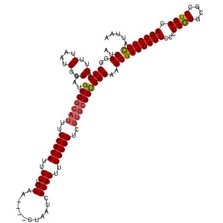 secondary structure