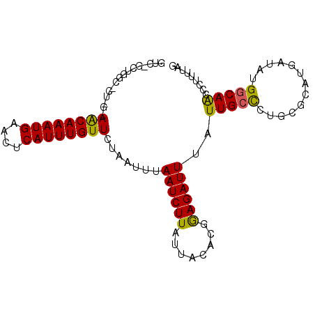 secondary structure