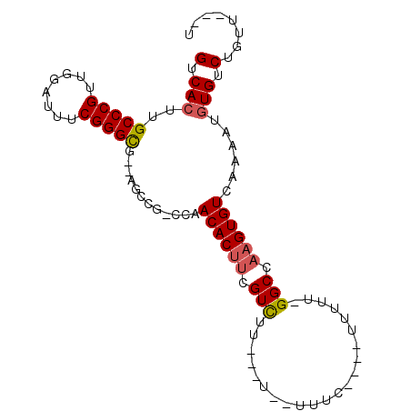 secondary structure