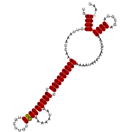 secondary structure