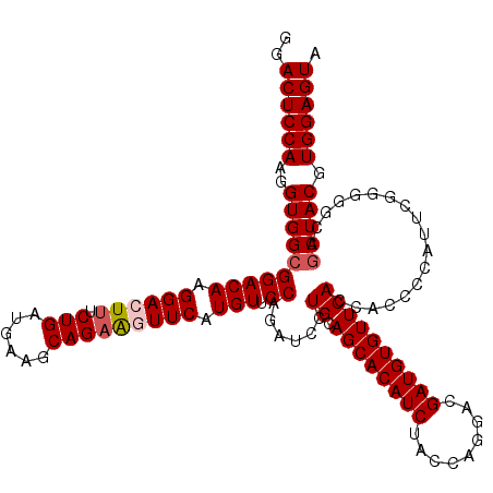 secondary structure