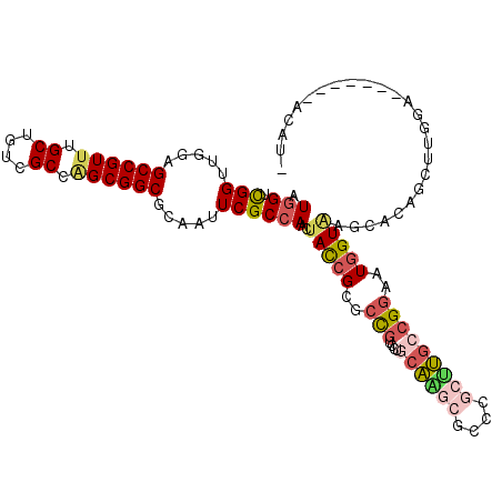 secondary structure