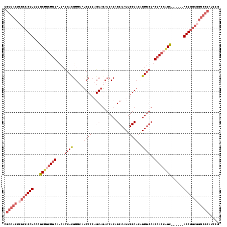 dotplot