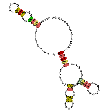 secondary structure