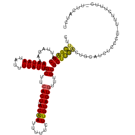 secondary structure