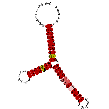 secondary structure