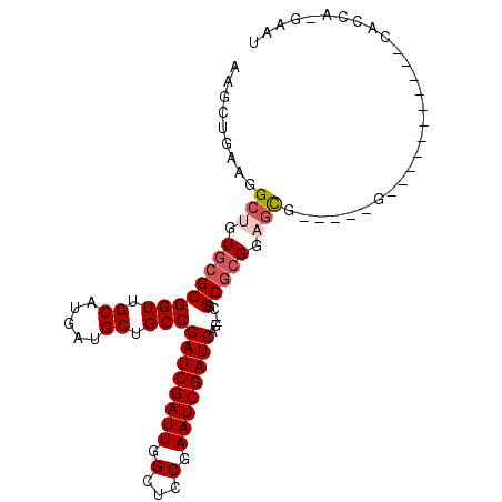 secondary structure