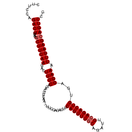 secondary structure