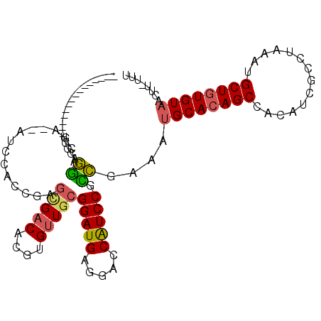 secondary structure