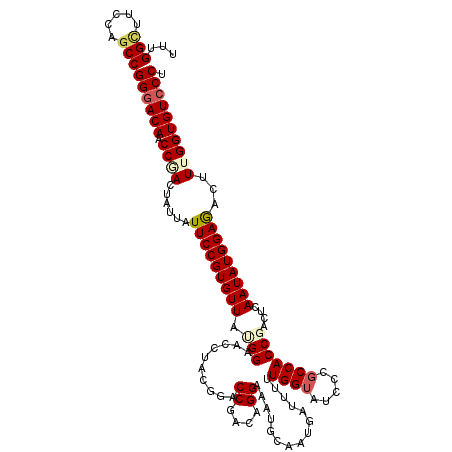 secondary structure
