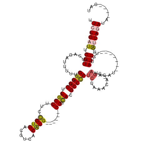 secondary structure