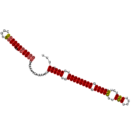 secondary structure