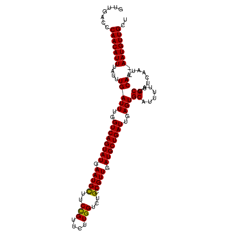 secondary structure