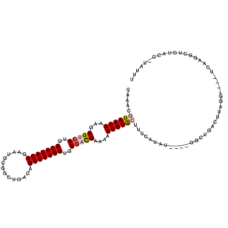 secondary structure