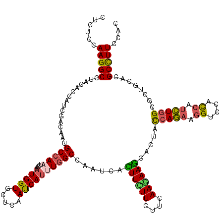 secondary structure