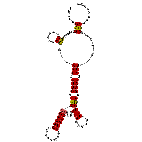 secondary structure