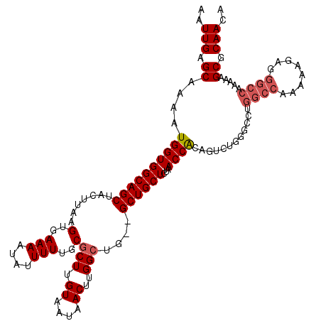 secondary structure