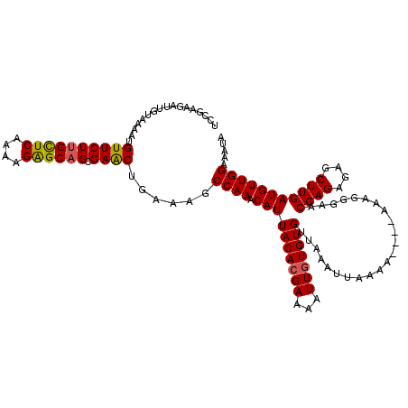 secondary structure