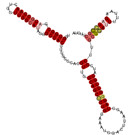 secondary structure