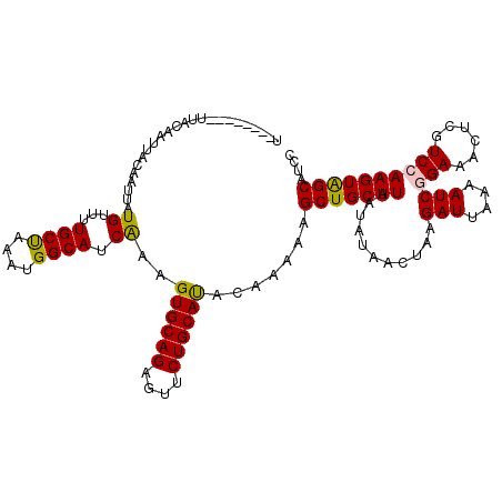 secondary structure