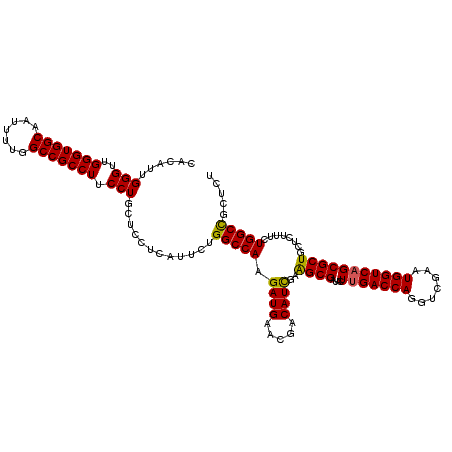secondary structure