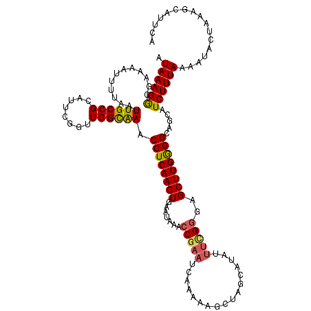 secondary structure