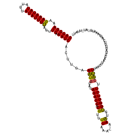 secondary structure