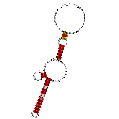 secondary structure