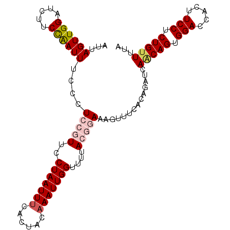secondary structure