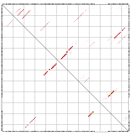 dotplot