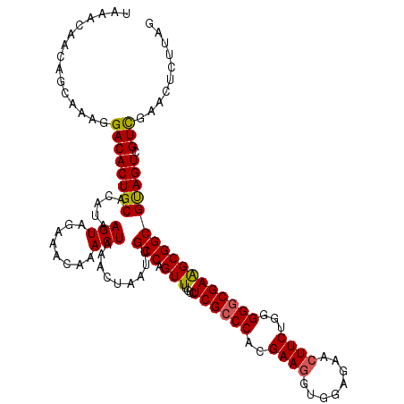 secondary structure