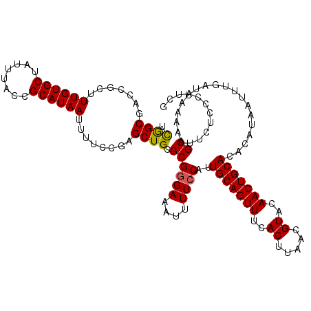 secondary structure
