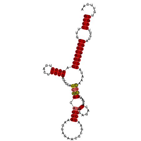 secondary structure