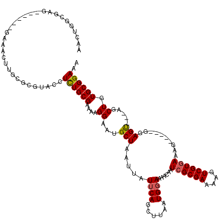 secondary structure