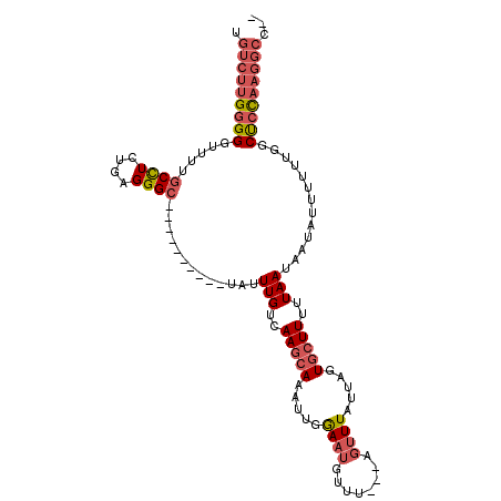 secondary structure
