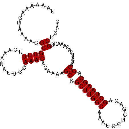secondary structure
