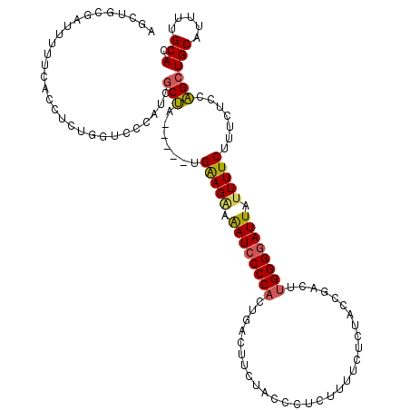 secondary structure