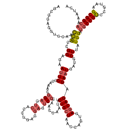 secondary structure
