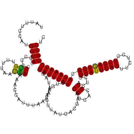 secondary structure